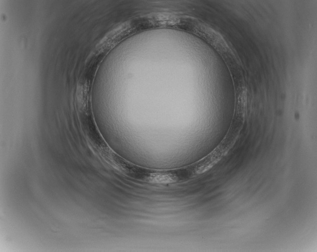 X0000085820218200703301602