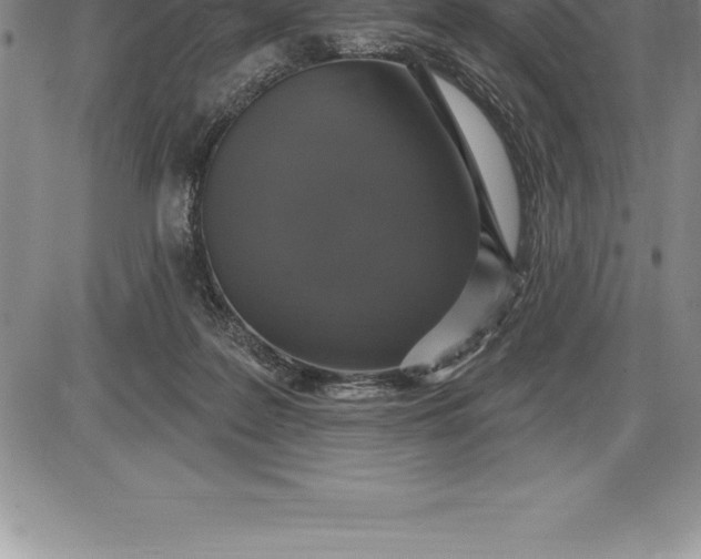 X0000085820219200703301602