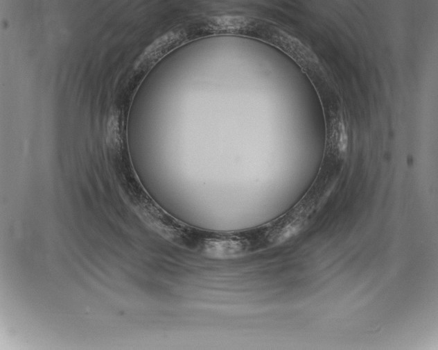 X0000085820220200703301602