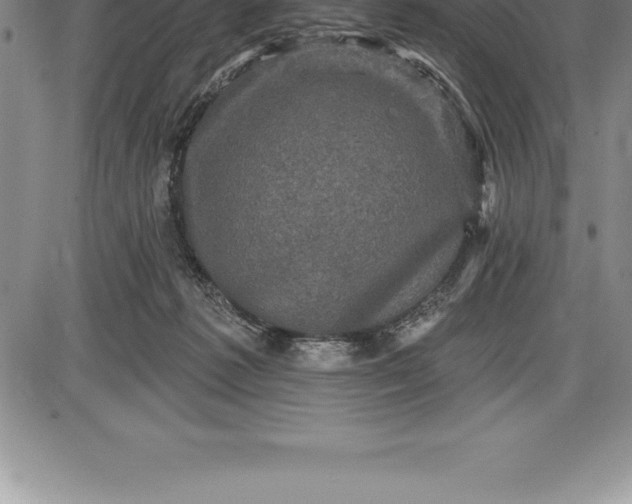 X0000085820221200703301602