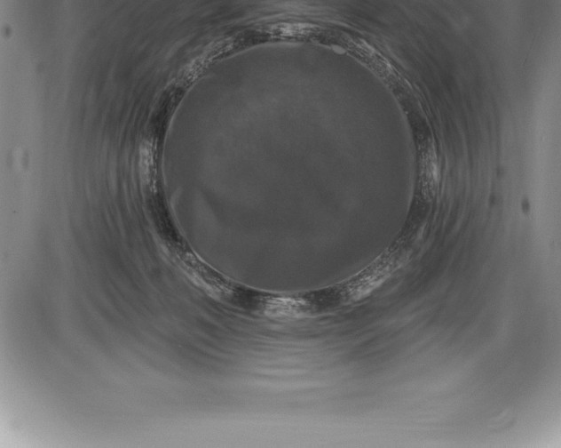 X0000085820222200703301602