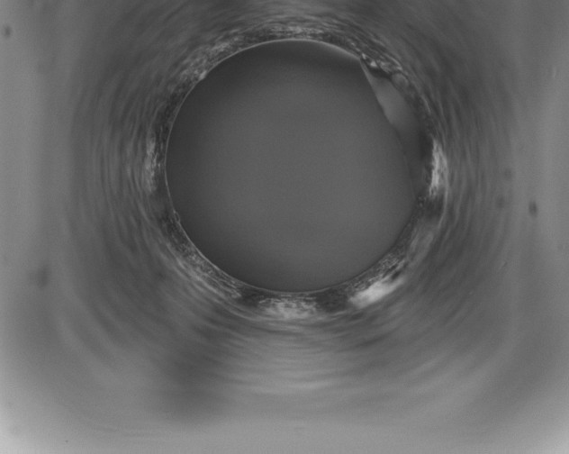 X0000085820223200703301602