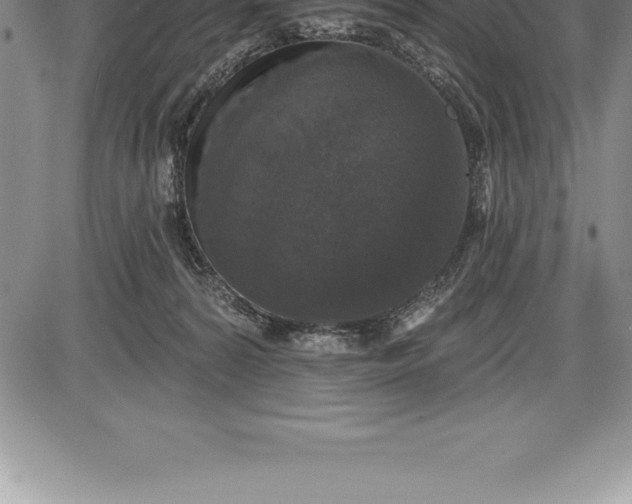 X0000085820224200703301602