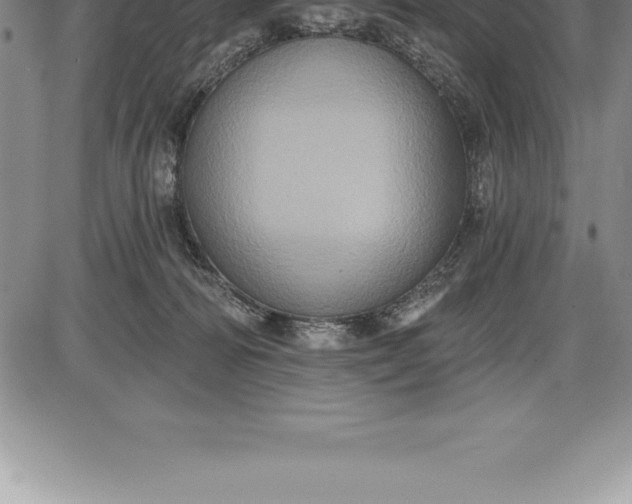 X0000085820226200703301602