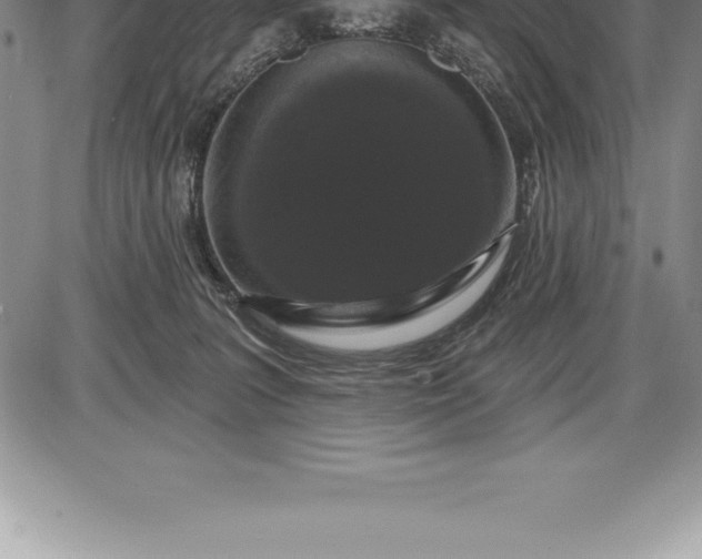 X0000085820227200703301602