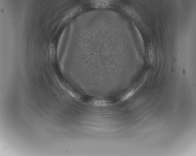 X0000085820228200703301602