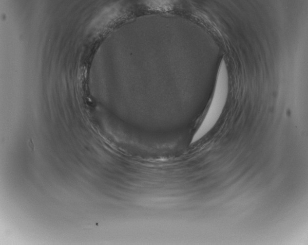 X0000085820229200703301602