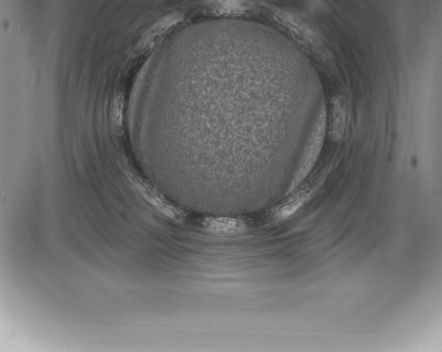 X0000085820230200703301601