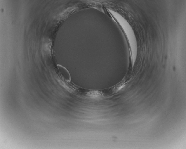 X0000085820231200703301601