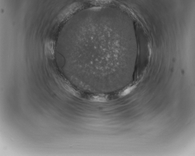 X0000085820232200703301601