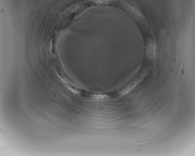 X0000085820233200703301601