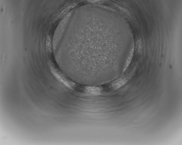 X0000085820234200703301601