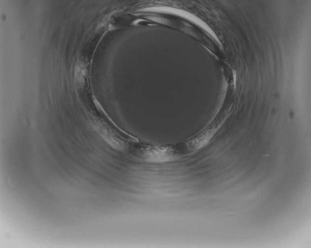 X0000085820235200703301601