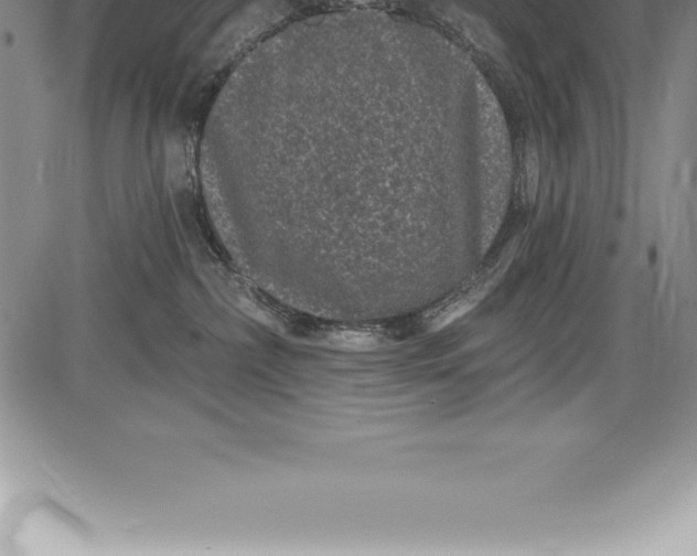 X0000085820236200703301601