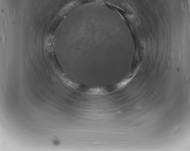 X0000085820237200703301601