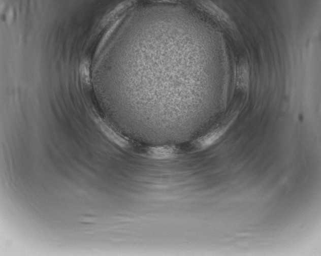 X0000085820238200703301601