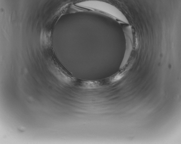 X0000085820239200703301601