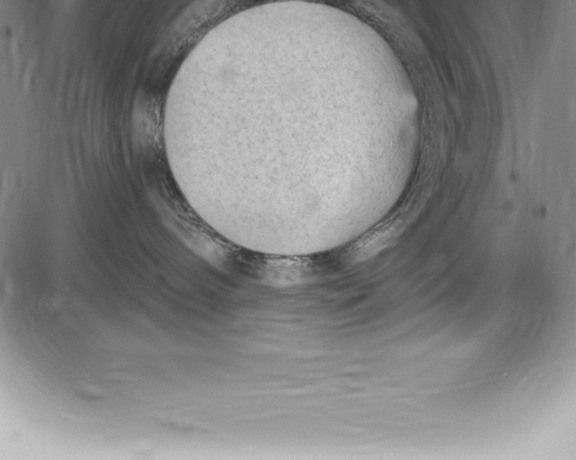 X0000085820240200703301601