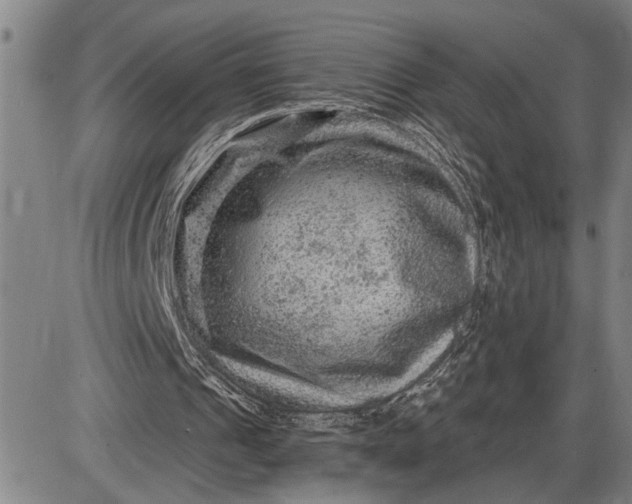 X0000085820241200703301600