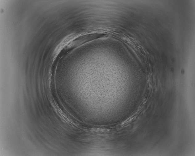 X0000085820242200703301600