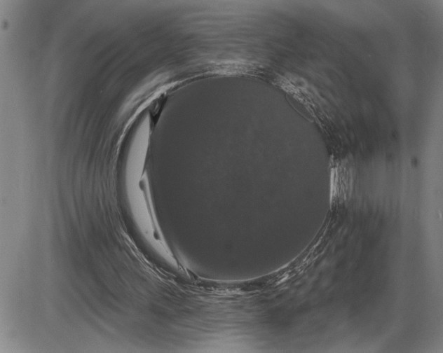 X0000085820243200703301601