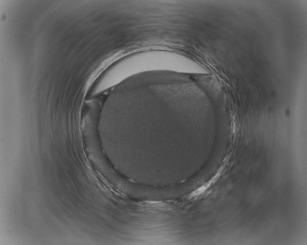 X0000085820244200703301601