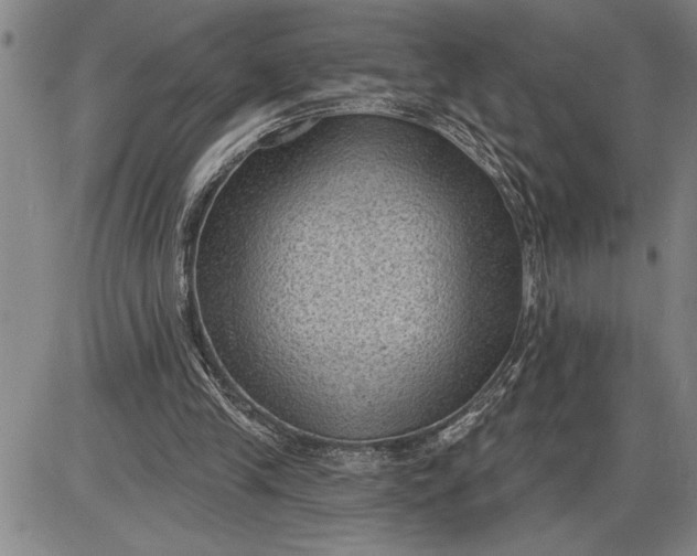 X0000085820245200703301601