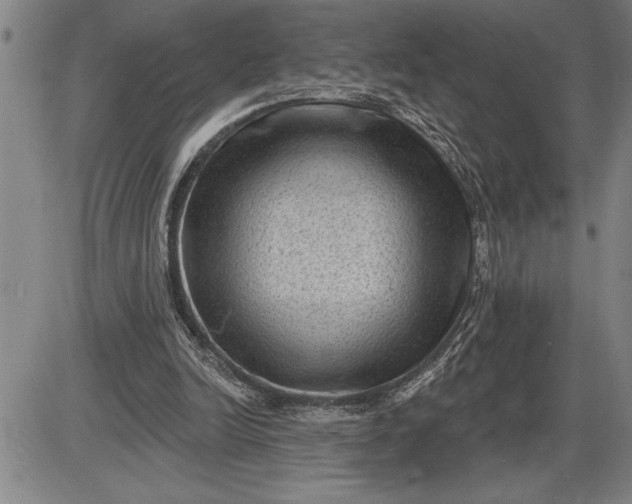 X0000085820246200703301601