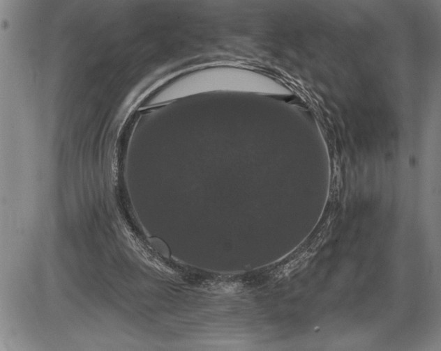 X0000085820247200703301601