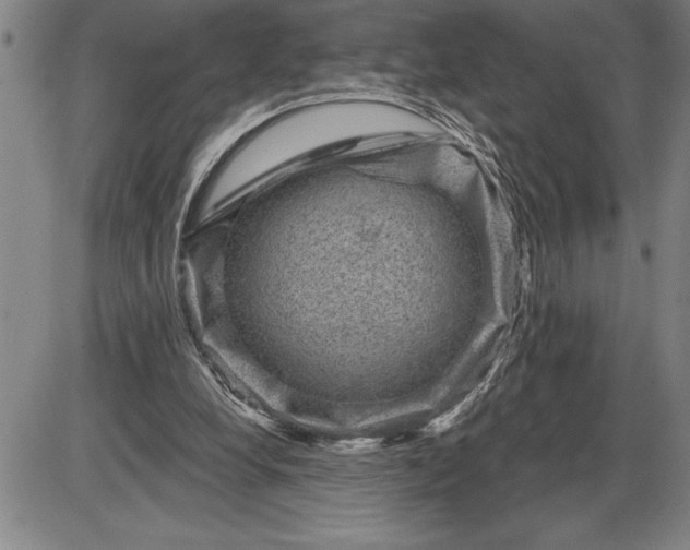 X0000085820248200703301601