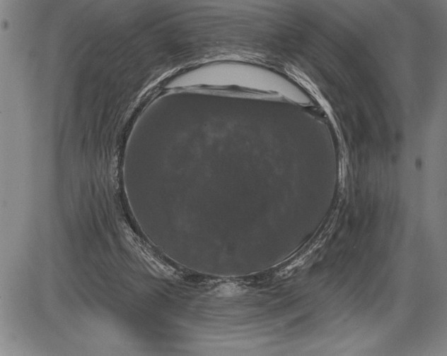 X0000085820249200703301601