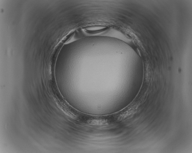 X0000085820251200703301601