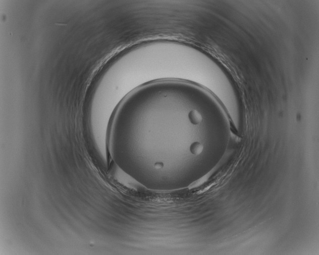 X0000085820252200703301601