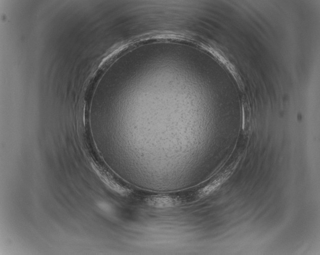 X0000085820253200703301601