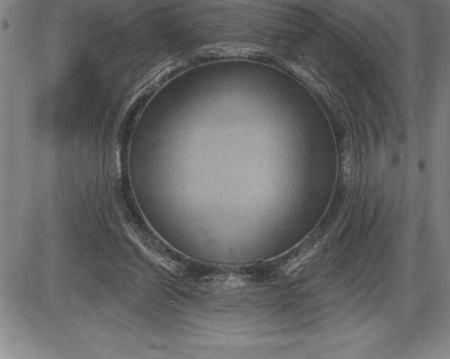 X0000085820254200703301601