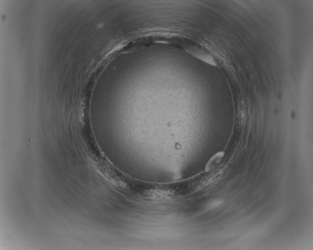 X0000085820255200703301601