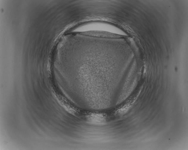 X0000085820256200703301601