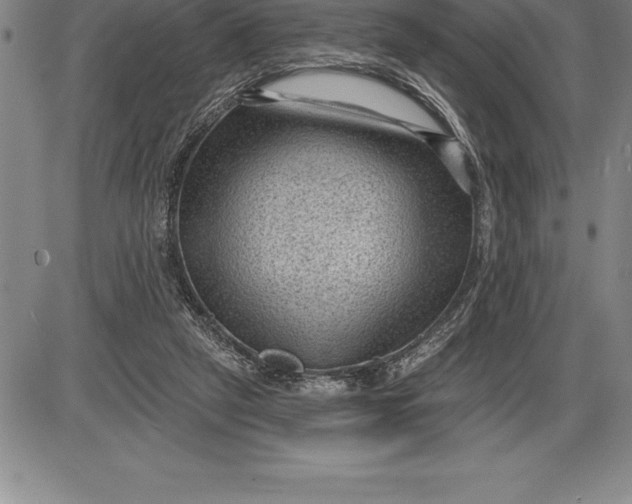 X0000085820257200703301601