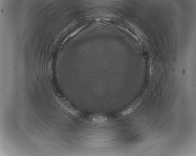 X0000085820258200703301601