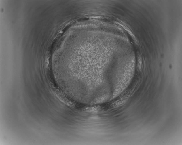 X0000085820259200703301601