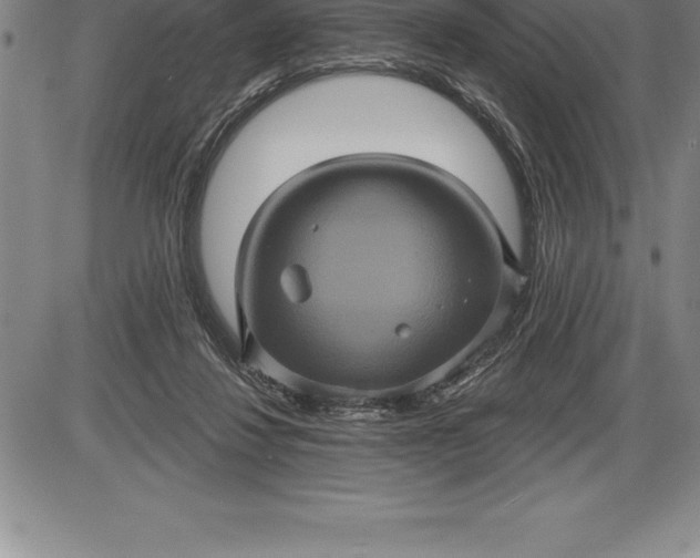 X0000085820260200703301601