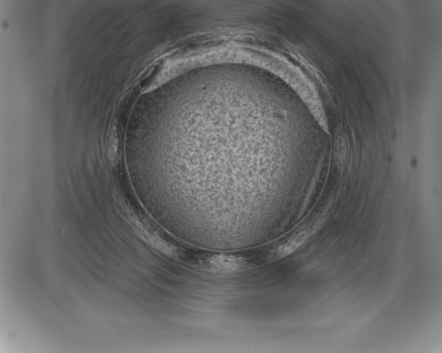 X0000085820261200703301601