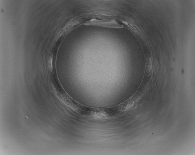 X0000085820262200703301601