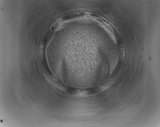 X0000085820263200703301601