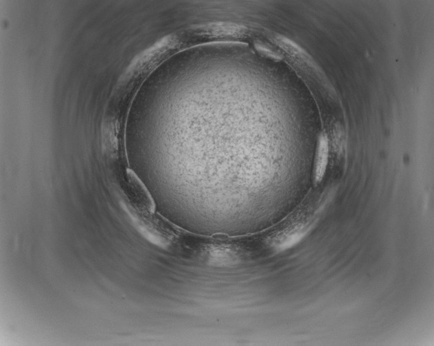 X0000085820264200703301601