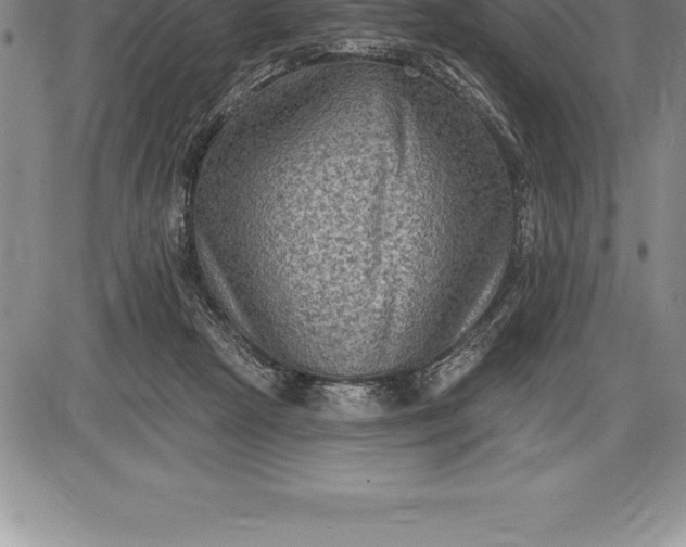 X0000085820265200703301601