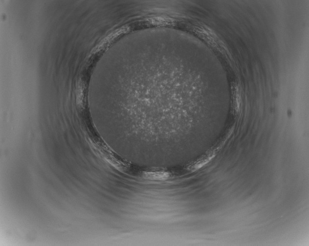 X0000085820266200703301601