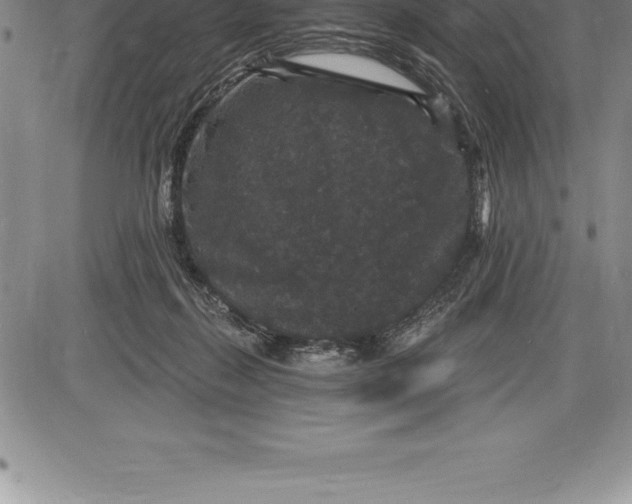 X0000085820267200703301601