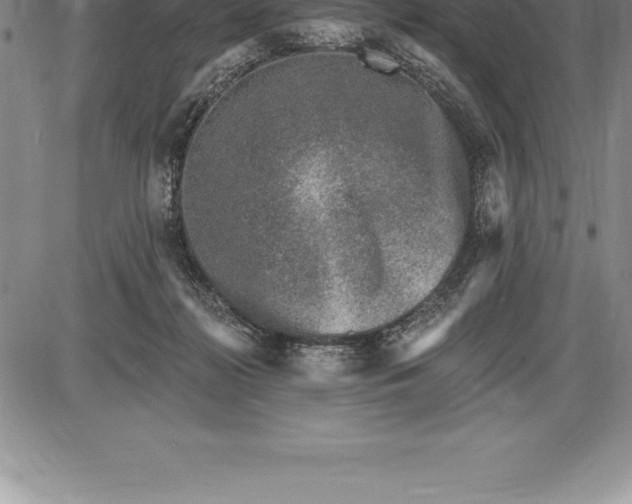 X0000085820268200703301601