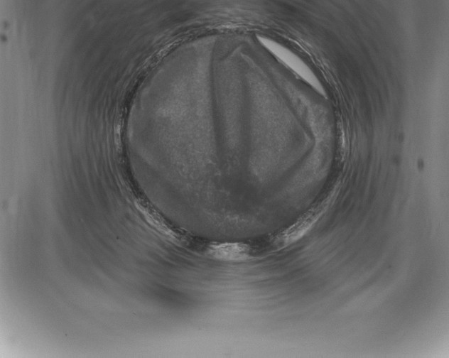 X0000085820269200703301601